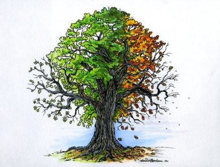 four seasons tree